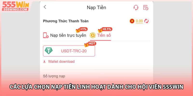 Các lựa chọn nạp tiền linh hoạt dành cho hội viên 555WIN